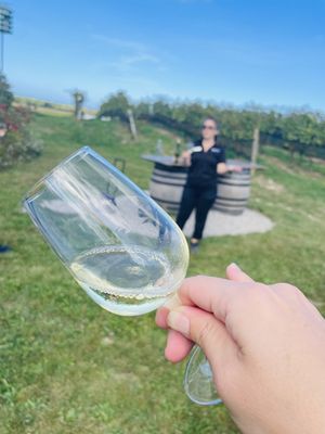 Ravine Vineyard Estate Winery by null