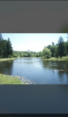 Benson Park by null