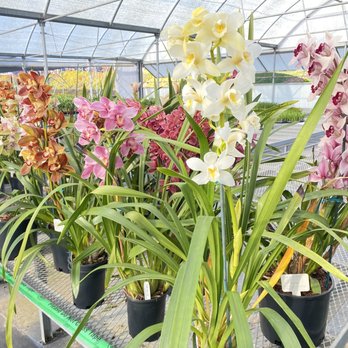 The Flower Fields - Venues & Event Spaces Near Me - Carlsbad, California The Flower Fields - Venues & Event Spaces Near Me - Carlsbad, California