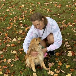 Walker Pet Sitters