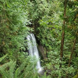 Very pretty falls in amongst the ferns and trees! Very pretty falls in amongst the ferns and trees!