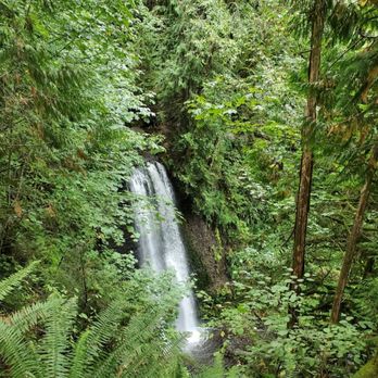 Victor Falls - Very pretty falls in amongst the ferns and trees! - Parks Near Me - Bonney Lake, Washington Victor Falls - Very pretty falls in amongst the ferns and trees! - Parks Near Me - Bonney Lake, Washington