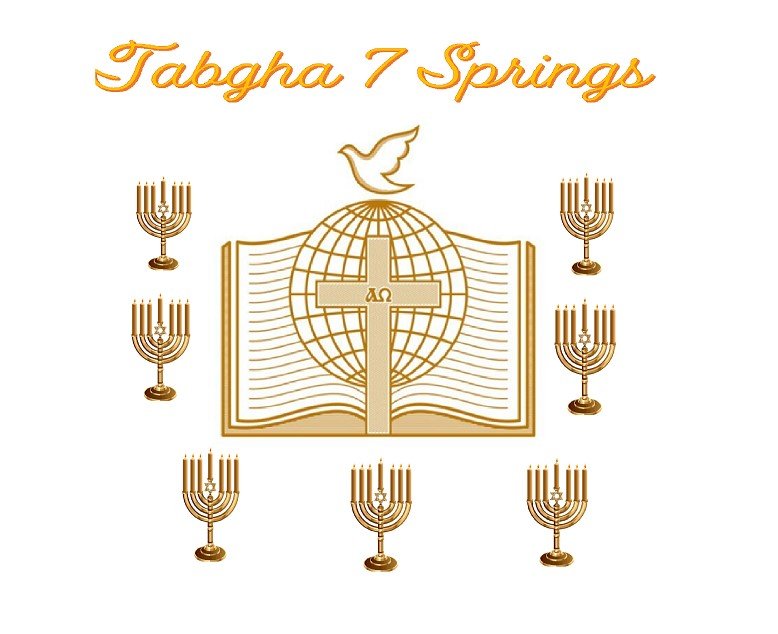 Tabgha 7 Springs - social services organization in Newark, DE