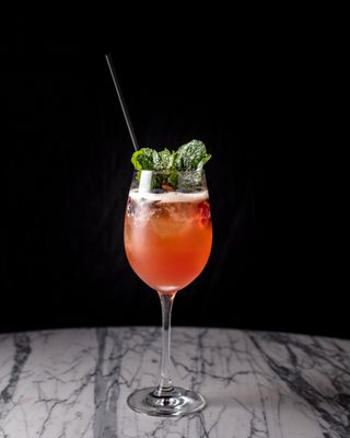 Library of Distilled Spirits by null