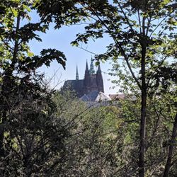 Park Maxe Van Der Stoela - St Vitus Cathedral view from the park