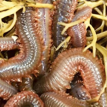 Olive Pure Water - Pile worms - Water Stores Near Me - Fresno, California Olive Pure Water - Pile worms - Water Stores Near Me - Fresno, California