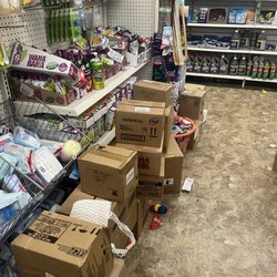 Dollar Tree - Clutter