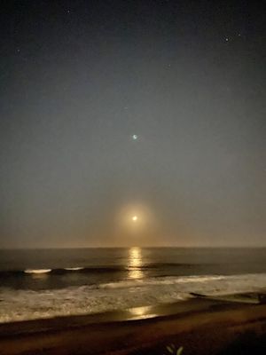 Will Rogers State Beach by null
