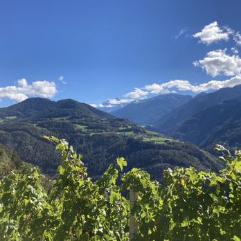 Keschtenweg Chestnut Trail - Vineyard and Dolomite views - Hiking Near Me - Velturno, BZ