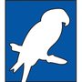Photo of Northern Parrots