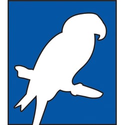 Northern Parrots - Northern Parrots