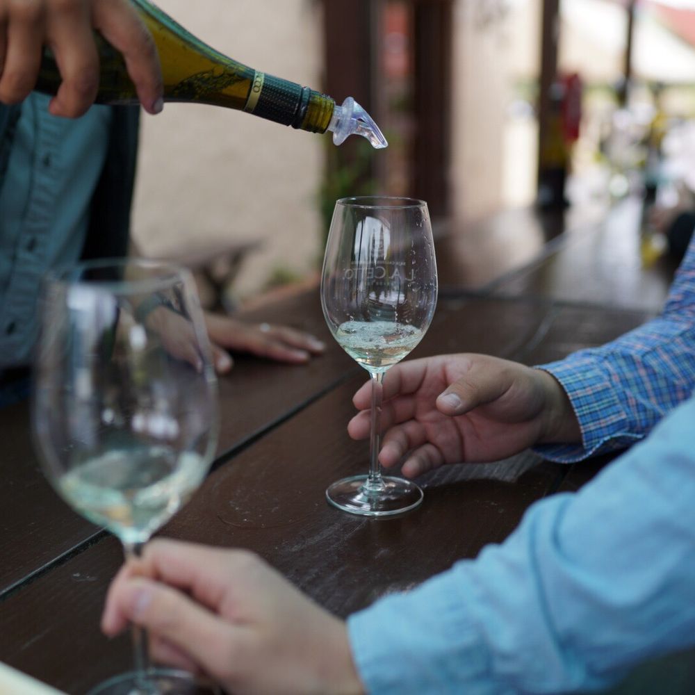 LA Cetto - Wineries Near Me - Valle de Guadalupe, BCN
