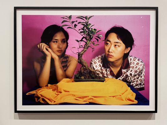 Berkeley Art Museum and Pacific Film Archive by null