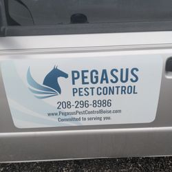 Pegasus Pest Control