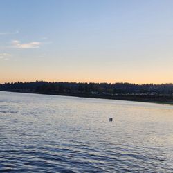 Edmonds Ferry Terminal - Looking towards Brackett's Landing where I viewed the Aurora Borealis / Northern Lights a few days ago (10/13/24).