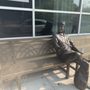 Photo of Making Children Smile Statue