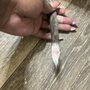 Photo of Animal Medical Care