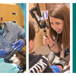 Community Health Care - Parkland Family Health Center