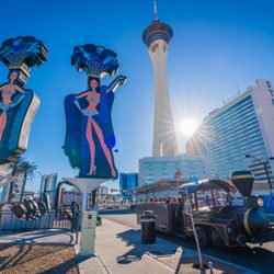 Annie Bananie Las Vegas Tours