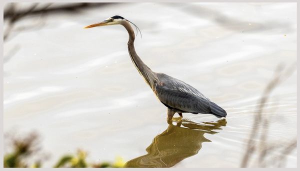 Leesylvania State Park