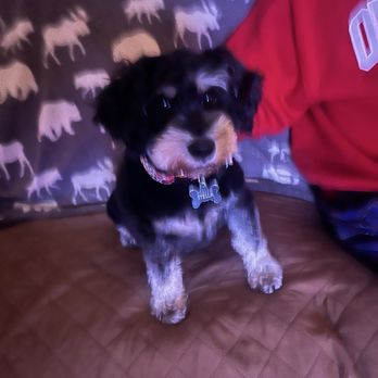 Pet Supplies Plus Mansfield Grooming - Pet Stores Near Me - Mansfield, Ohio