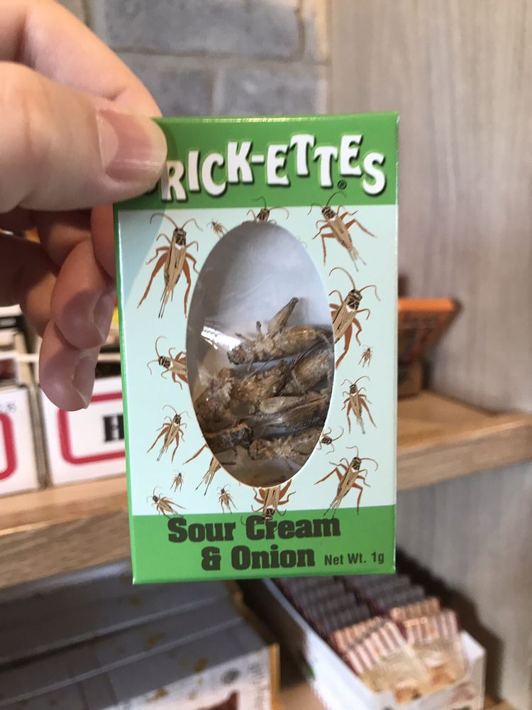 NIBBLERS POPCORN 79 Photos & 51 Reviews 4420 Town Center Blvd, El