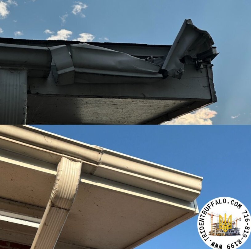 Slide of Trident Buffalo