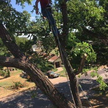 Busy Boy Tree Services - Tree Services Near Me - Schulter, Oklahoma