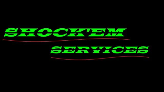 Slide of Shockem Services