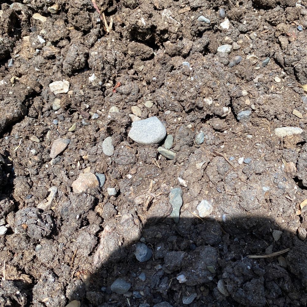 Axner Excavating - $58 per yard for this "manure"? - Building Supplies Near Me - Redding, California Axner Excavating - $58 per yard for this "manure"? - Building Supplies Near Me - Redding, California