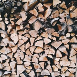 The Woodman