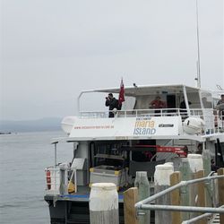 Maria Island Cruises