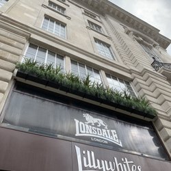 Lillywhites
