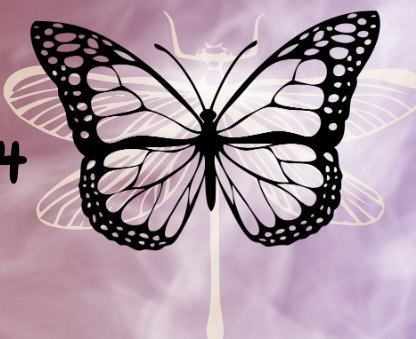 Cassie Ogden Healthcare Services - home care agency in Keizer, OR