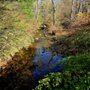 Laughing Brook Wildlife Sanctuary
