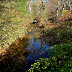 Laughing Brook Wildlife Sanctuary - Laughing Brook