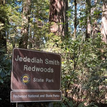 Jedediah Smith Redwoods State Park - Parks Near Me