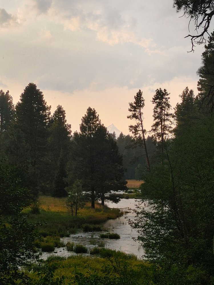 CAMP SHERMAN CAMPGROUND Updated June 2024 110 Photos NF900, Camp