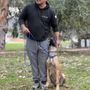 Photo of CJ's K9 Training