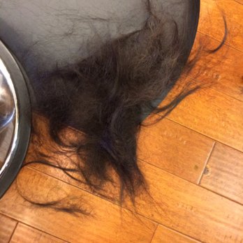 Some Of The Cut Off Hair Yelp