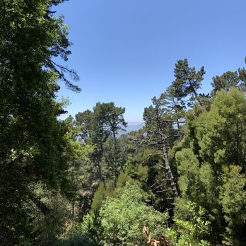 Joaquin Miller Park - Parks Near Me - Oakland, California Joaquin Miller Park - Parks Near Me - Oakland, California