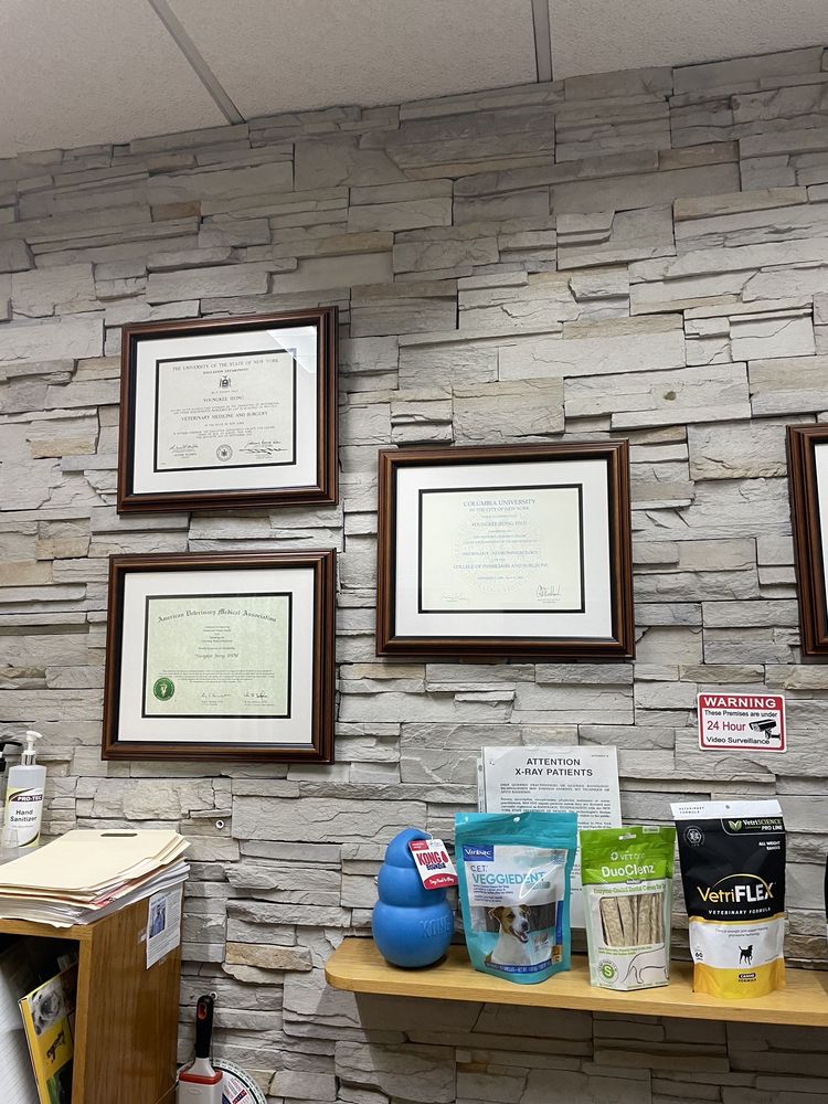 PETOPIA ANIMAL CLINIC PC Updated September 2024 12 Photos & 41