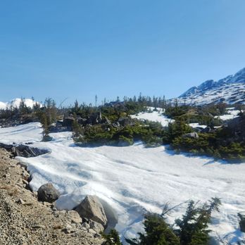 Sockeye Cycle Co. - Snow - Bike Rentals Near Me - Skagway, Alaska Sockeye Cycle Co. - Snow - Bike Rentals Near Me - Skagway, Alaska
