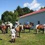 Photo of Brannon Stables