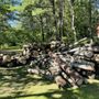 Northeast Arbor Tec
