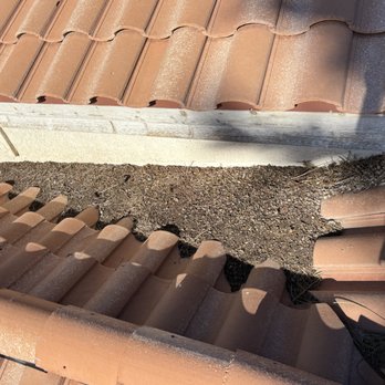 PGN PROS - Pest Control Near Me - Las Vegas, Nevada