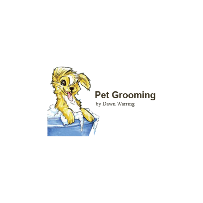 SAINT AUGUSTINE PET GROOMING SALON Updated August 2024 14 Photos