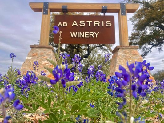 Ab Astris Winery by null