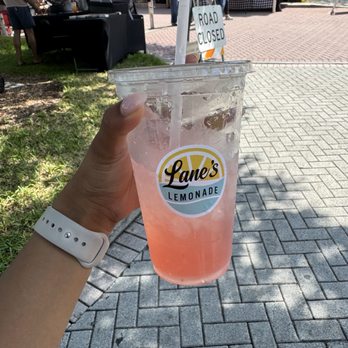 Lane's Lemonade & Dairy Bar - Ice Cream & Frozen Yogurt Near Me - Dunedin, Florida Lane's Lemonade & Dairy Bar - Ice Cream & Frozen Yogurt Near Me - Dunedin, Florida