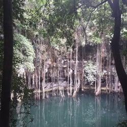 Cenote Yokdzonot - La recompensa para los que llegan pronto...